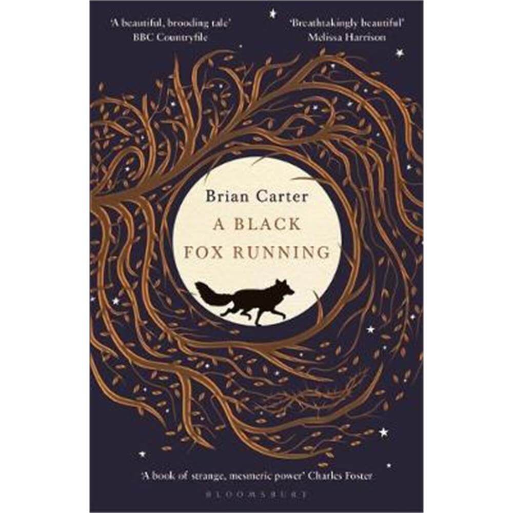 A Black Fox Running (Paperback) - Brian Carter